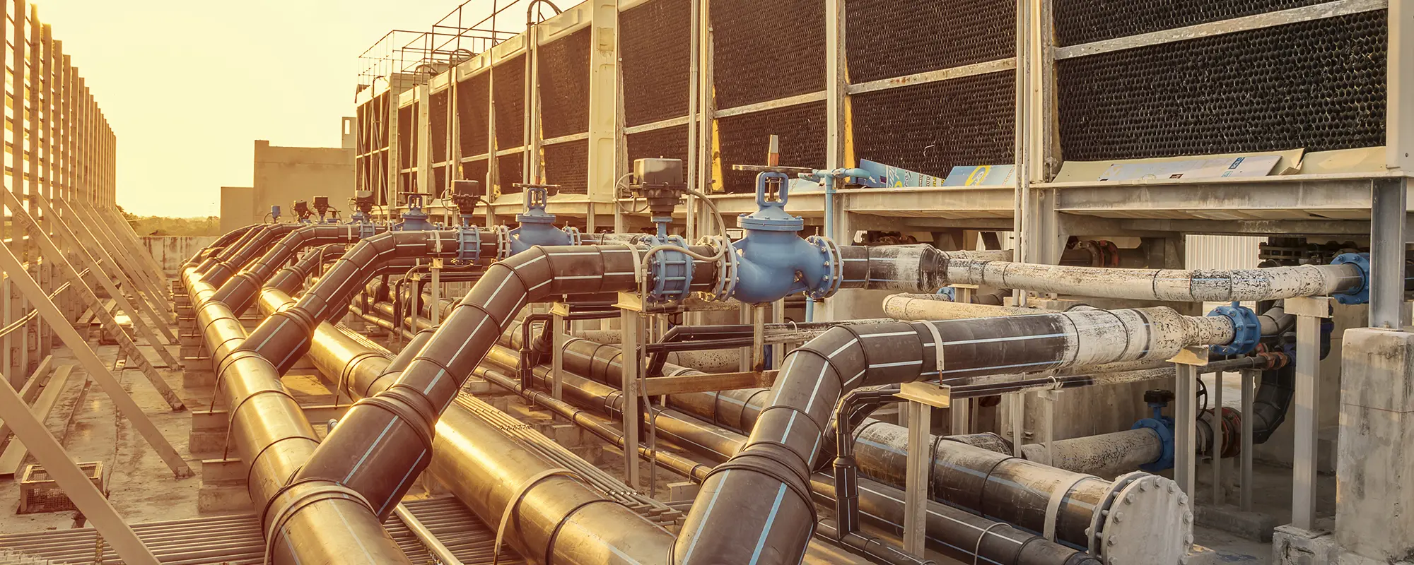 AdobeStock_273780238-new