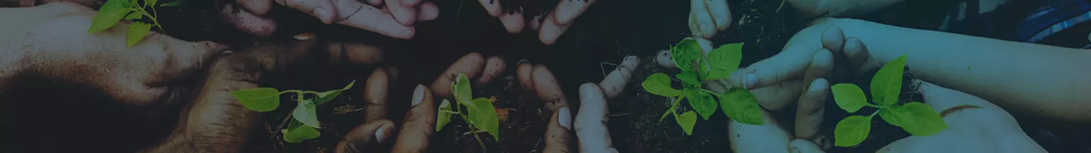 OurValuesCulture-heroimages