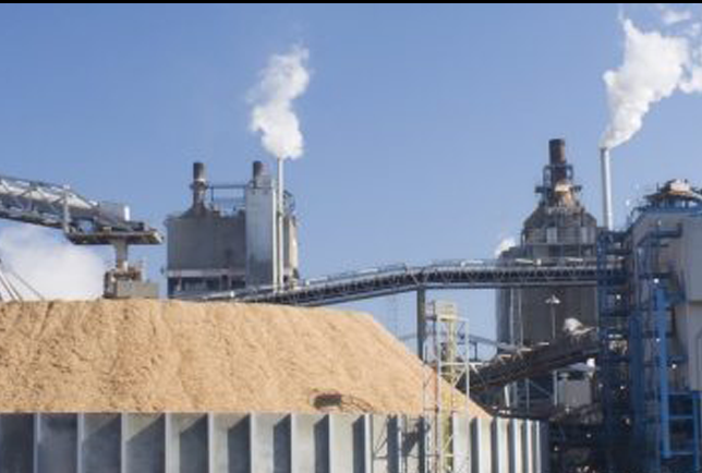 Pulp-and-Paper-Button-Image